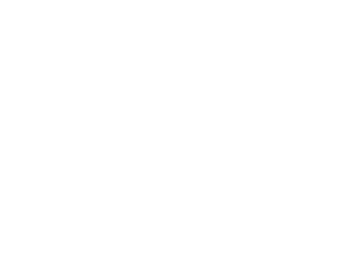 David Lewis David Lewis logo